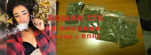 молекула духа Горно-Алтайск