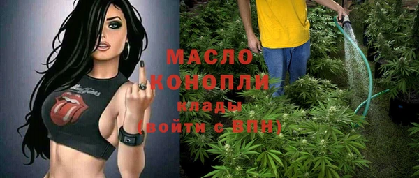 молекула духа Горно-Алтайск