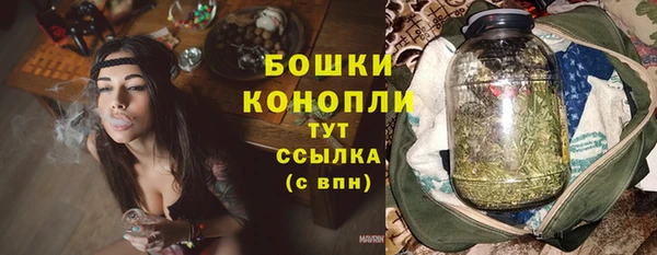 молекула духа Горно-Алтайск