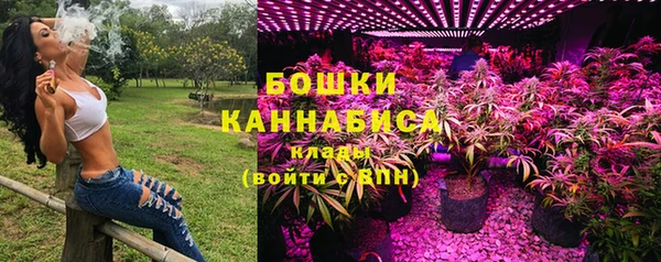 apvp Вязьма